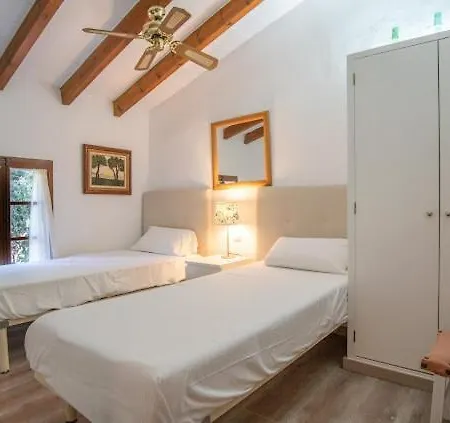 Gat * Pollença