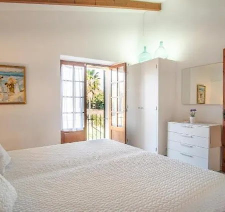 Gat Villa Pollença