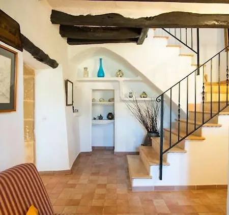 Gat Villa Pollensa